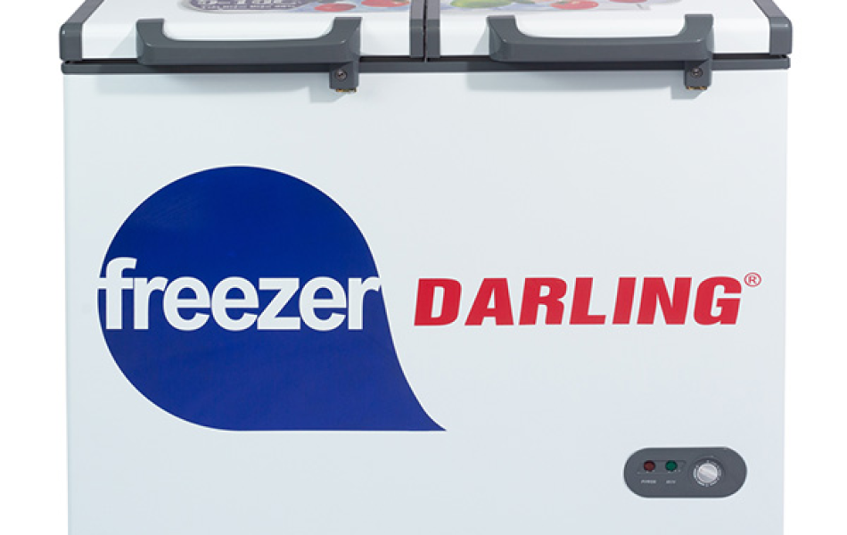 Tủ đông Darling 230 lít DMF-2799AX-1