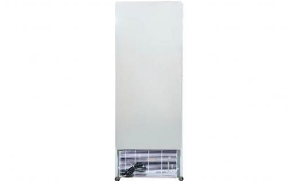 Tủ đông đứng 1 cánh Alaska 350 lít IF-350G