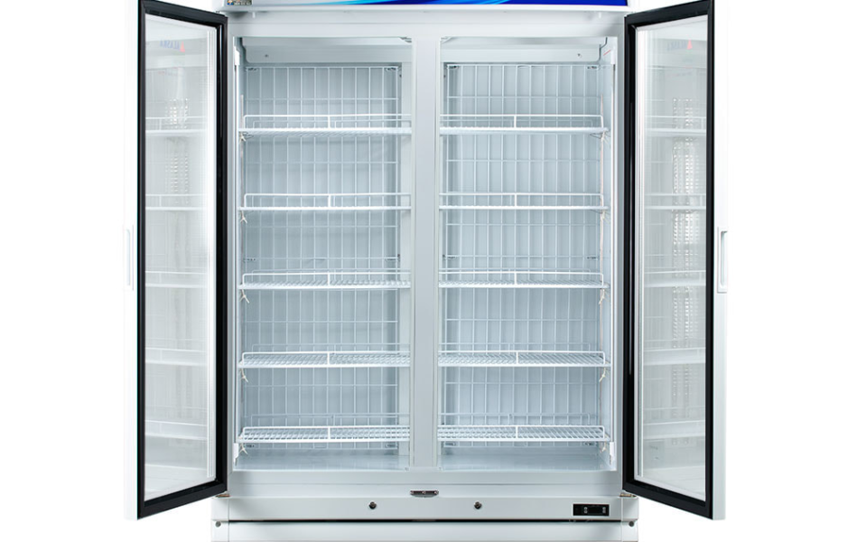 Tủ đông đứng 2 cánh Alaska 800 lít IF-700G2