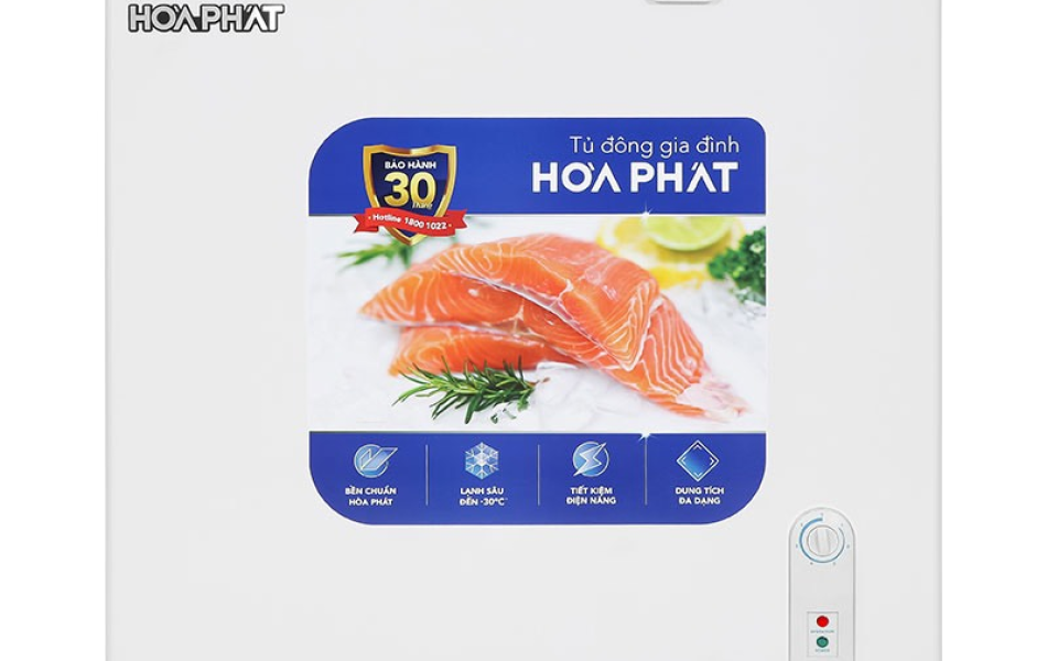 Tủ đông Hòa Phát 162 Lít HPF AD6162