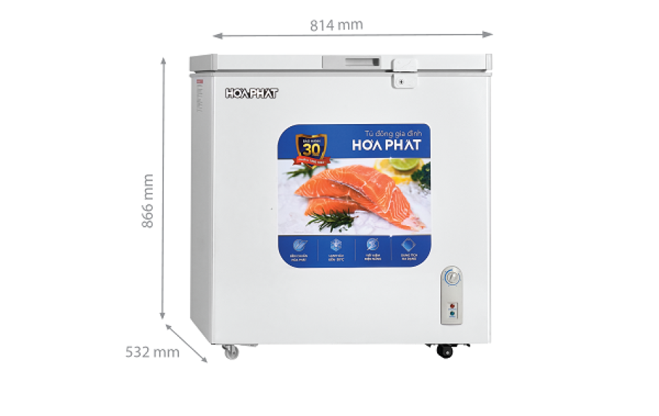 Tủ đông Hòa Phát 162 lít HPF AN6162