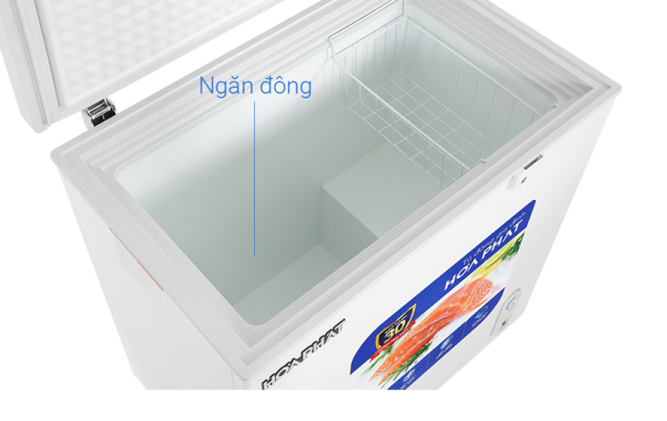 Tủ đông Hòa Phát 162 lít HPF AN6162
