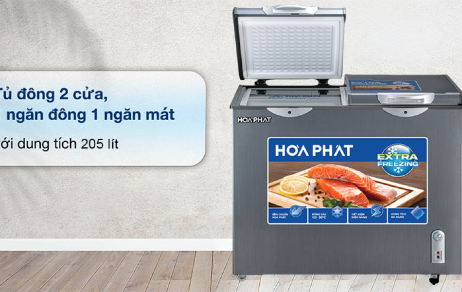 Tủ Đông Hòa Phát 205 lít HPF BD6205G