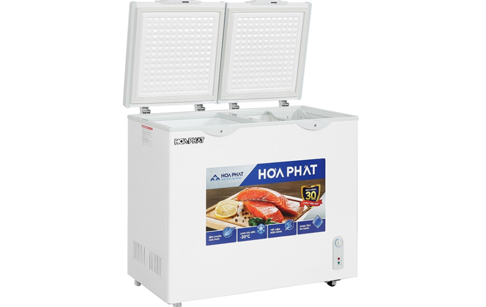 Tủ đông Hòa Phát 205 lít HPF BN6205