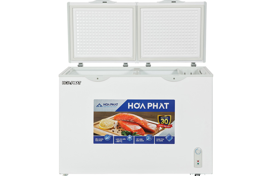 Tủ đông Hòa Phát 245 lít HPF BD6245