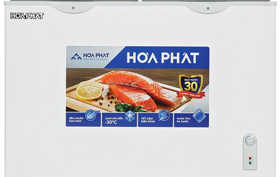 Tủ đông Hòa Phát 245 lít HPF BN6245