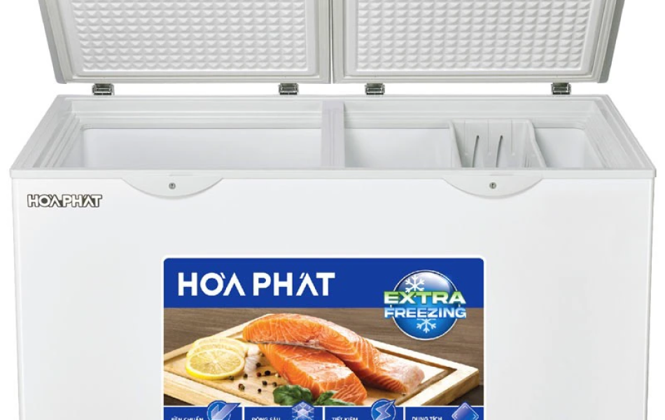 Tủ đông Hòa Phát 245 lít HPF BN6245