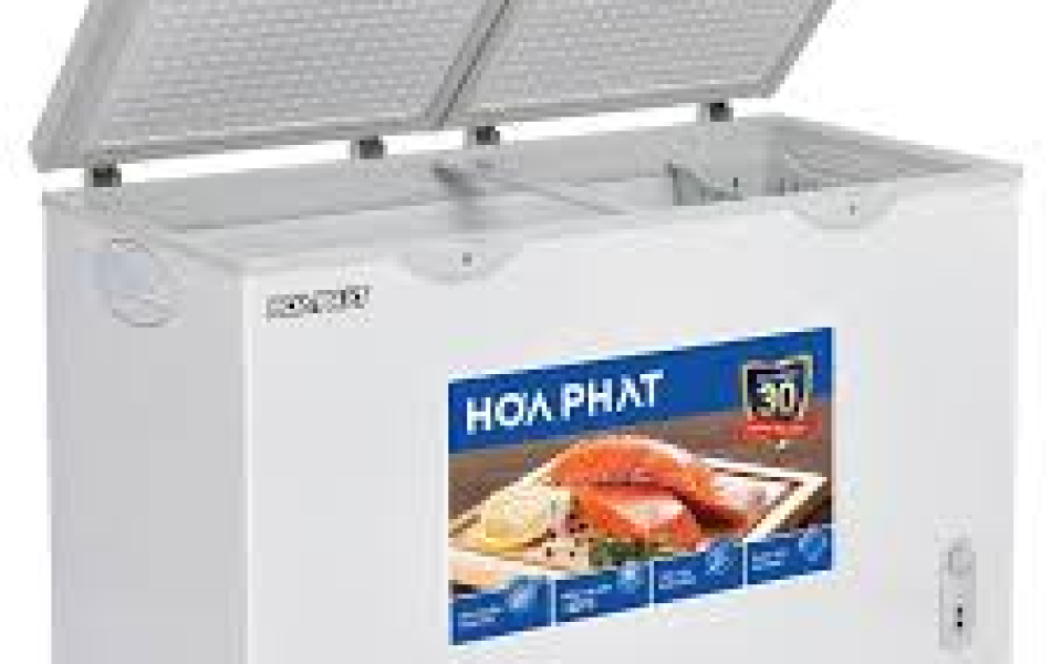 Tủ đông Hòa Phát 352 lít HPF AN6352