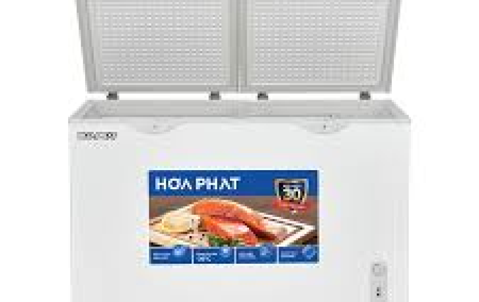 Tủ đông Hòa Phát 352 lít HPF AN6352