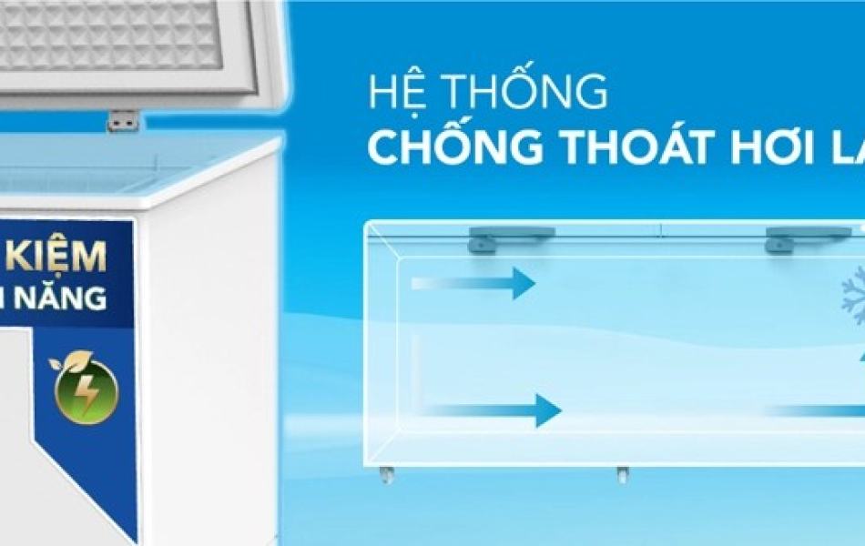 Tủ đông Hòa Phát HPF AD6783.CR 783 lít