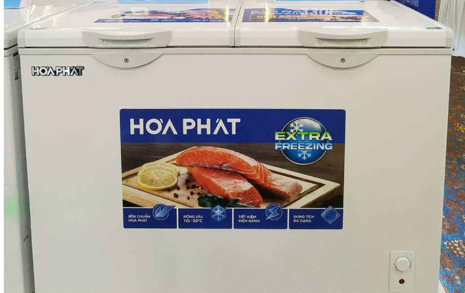 Tủ đông Hòa Phát HPF BD6330 330 lít