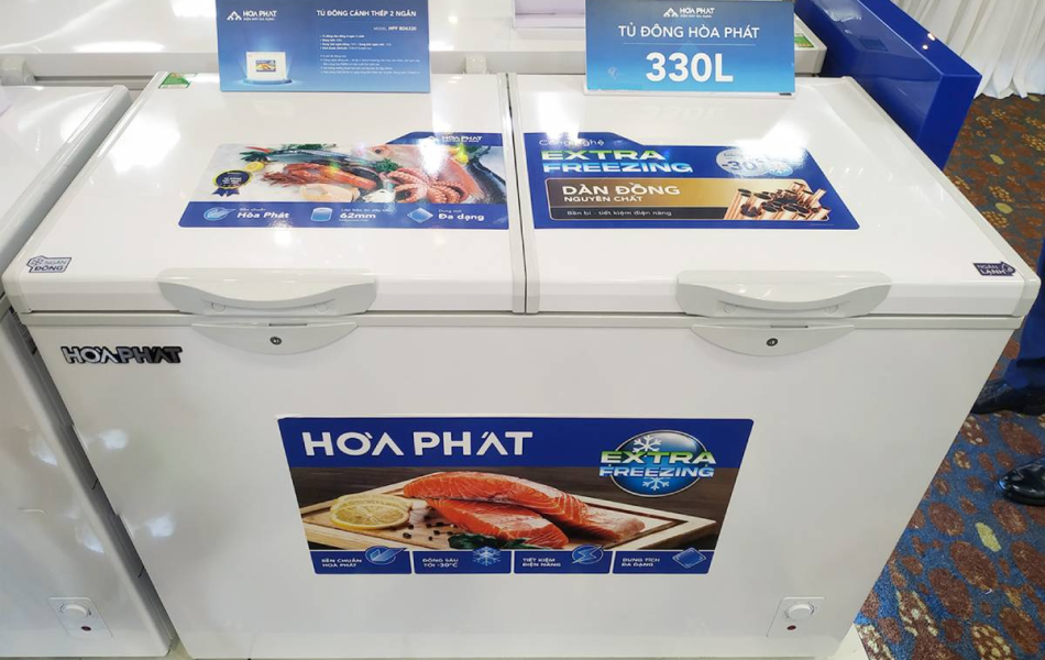 Tủ đông Hòa Phát HPF BD6330 330 lít