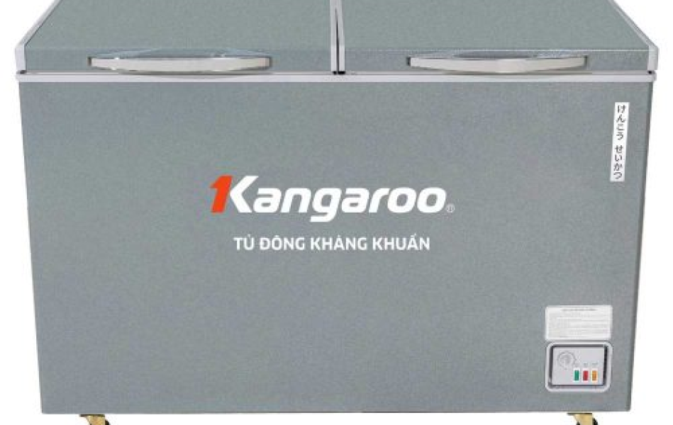 Tủ đông kháng khuẩn 375 lít KGFZ435IG1