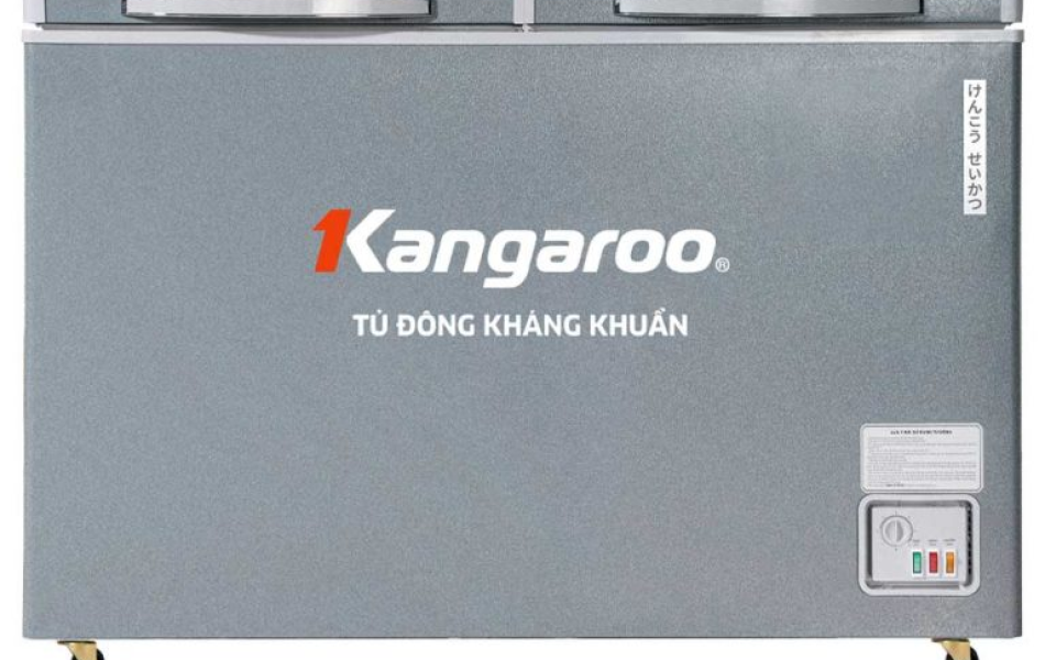 Tủ đông kháng khuẩn 375 lít KGFZ435IG1