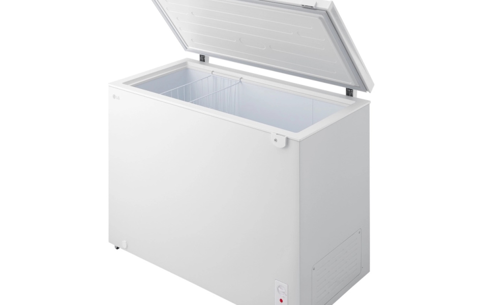 Tủ đông LG Inverter C30WH 291 lít