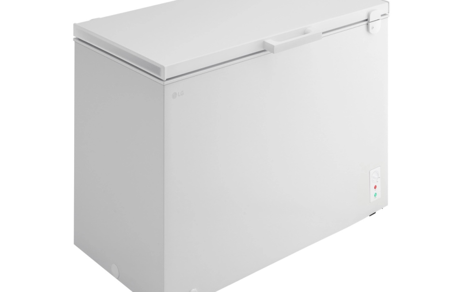 Tủ đông LG Inverter C30WH 291 lít