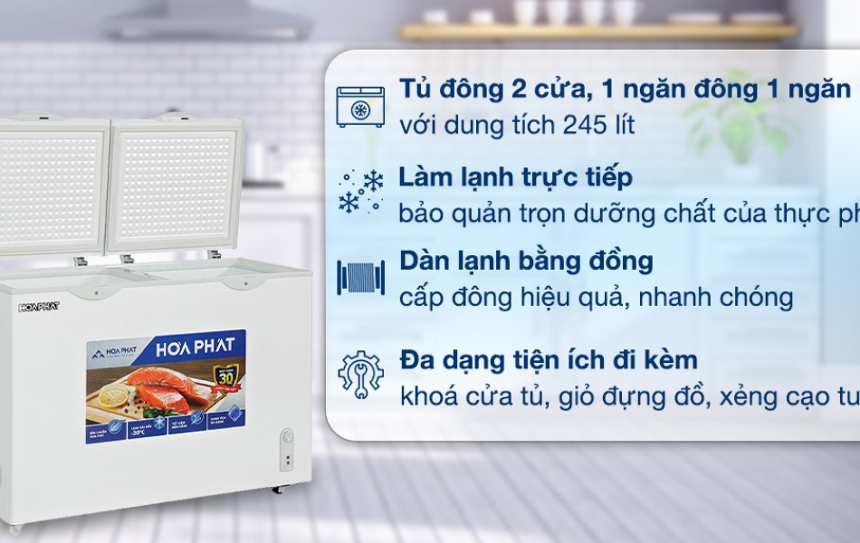 Tủ Đông Mát Hòa Phát 245 Lít HPF BD6245.T1