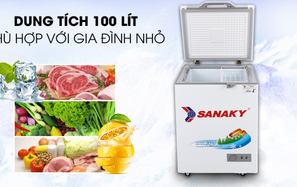 Tủ Đông Sanaky 100 Lít Sanaky VH-1599HYKD