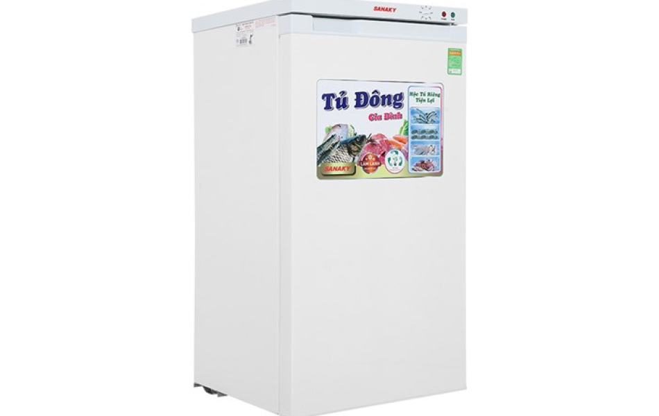 Tủ đông Sanaky 118 lít VH160VD 