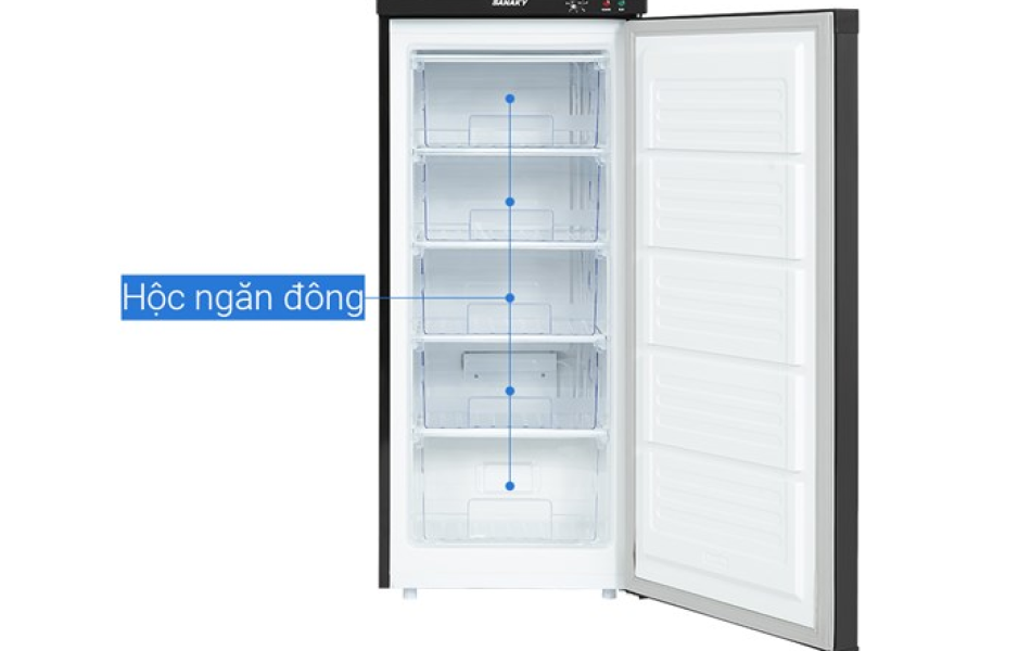 Tủ đông Sanaky Inverter 150 lít VH180VD3 