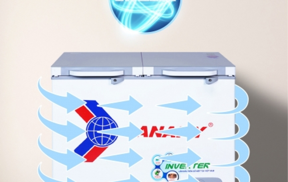Tủ đông Sanaky Inverter 208lít VH-2599A4K