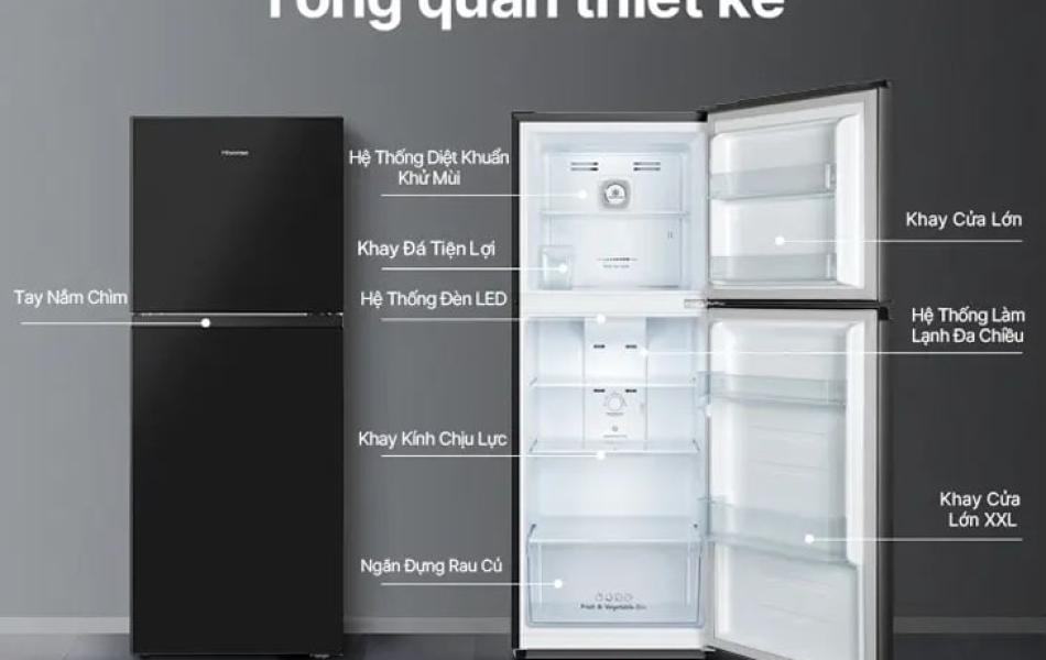 Tủ Lạnh Hisense Inverter 205 lít RT256N4EBN