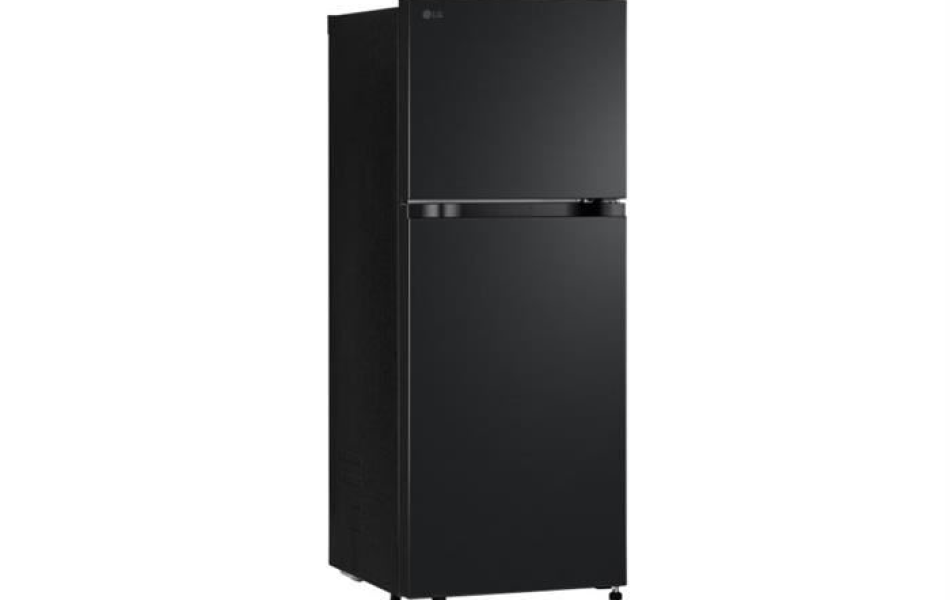 Tủ lạnh LG 217L LTB21BLMD