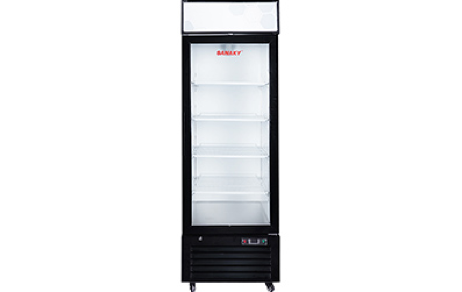Tủ đông Sanaky VH768K