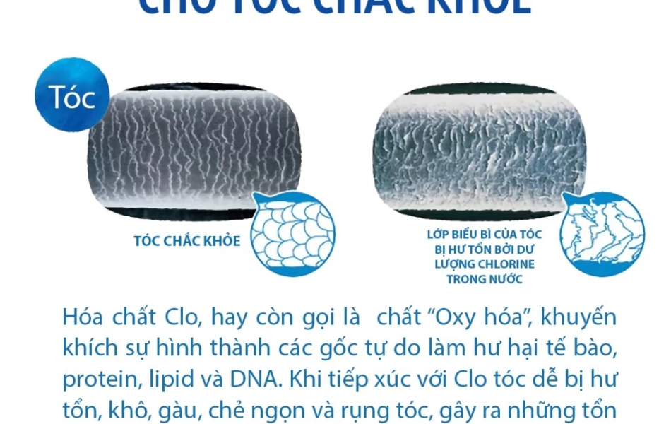 Vòi sen tắm khử Clo Torayvino RS54