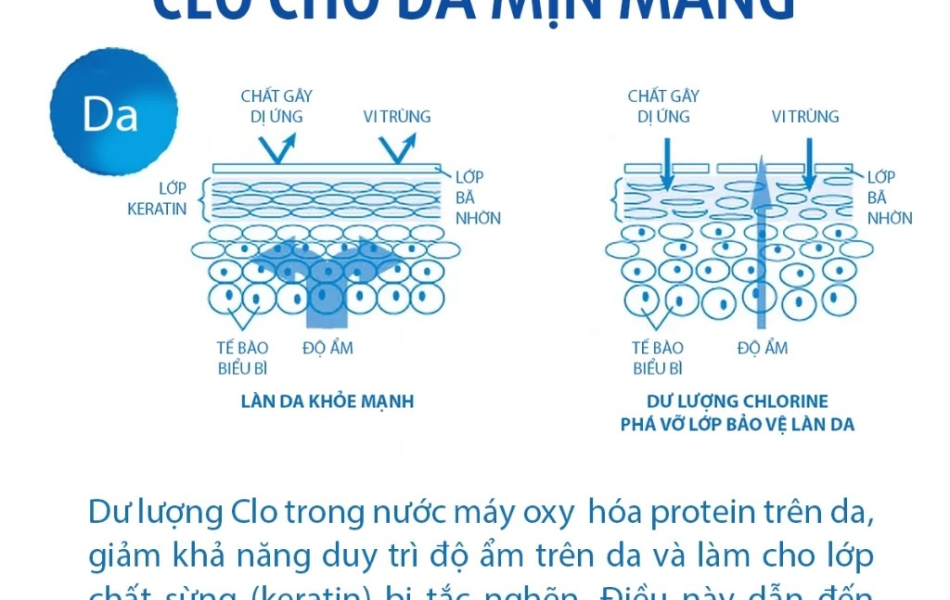 Vòi sen tắm khử Clo Torayvino RS54