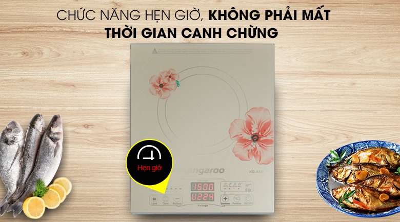 Bếp điện từ đơn KG418i
