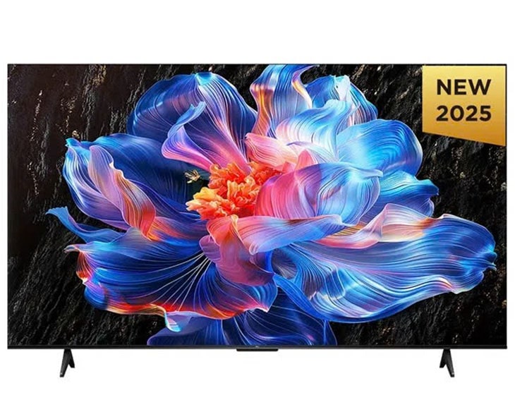 Google Tivi TCL 4K 65 inch 65P6K (Model 2025)