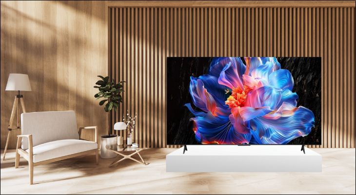 Google Tivi TCL 4K 65 inch 65P6K (Model 2025)