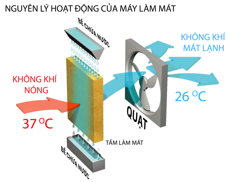 Máy làm mát công nghiệp Daikiosan DM305