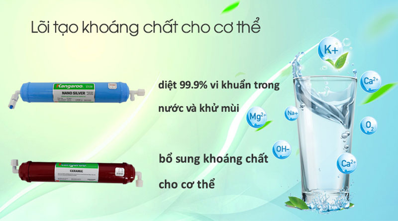 Máy lọc nước RO Kangaroo KG108AVTU