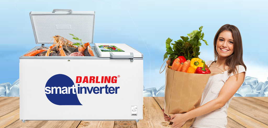 Tủ Đông 1 Ngăn Darling DMF-2788A2