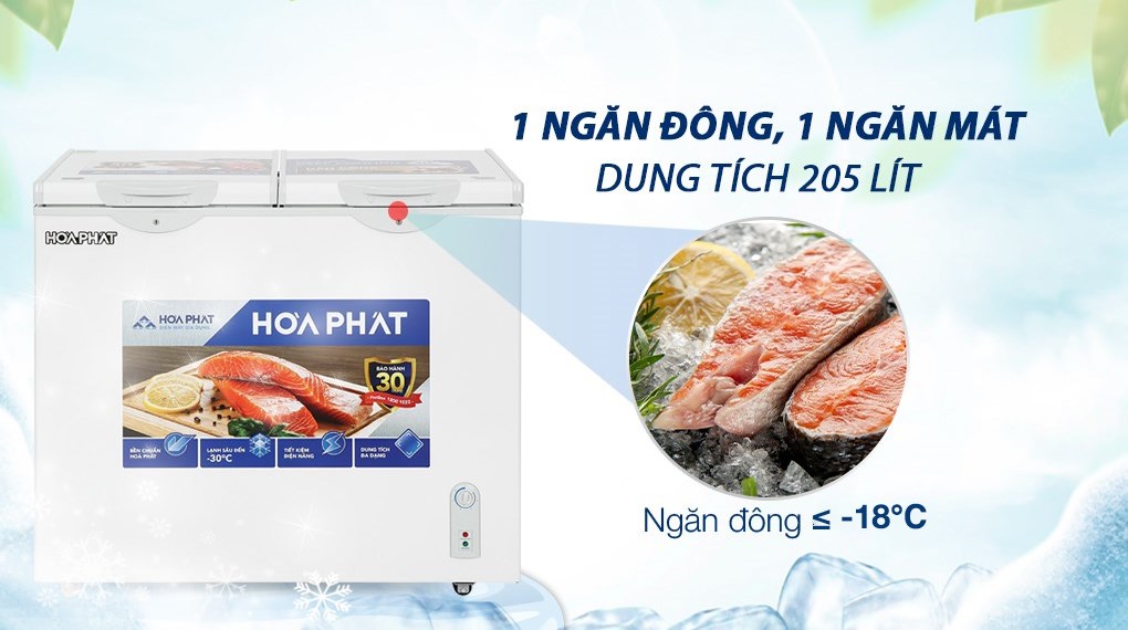 Tủ Đông Hòa Phát 205 lít HPF BD6205G