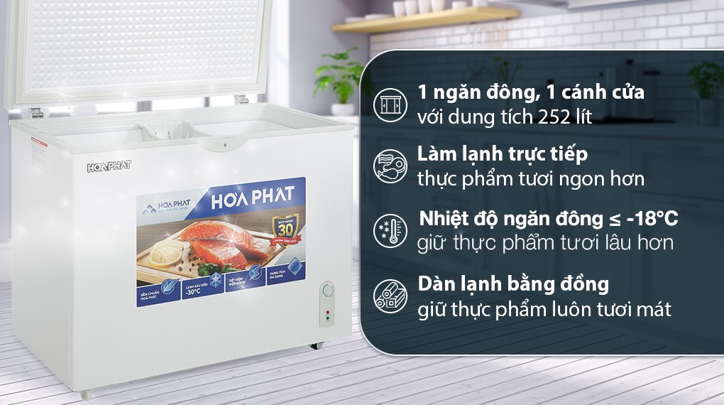 Tủ Đông Hòa Phát 252 lít HPF AD6252