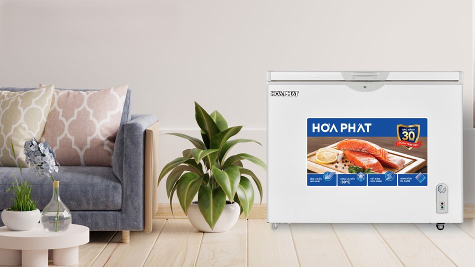 Tủ Đông Hòa Phát 252 lít HPF AD6252