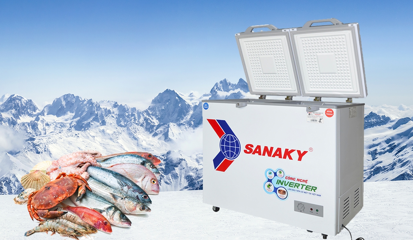 Tủ Đông Mát Sanaky 260lít VH-365W2