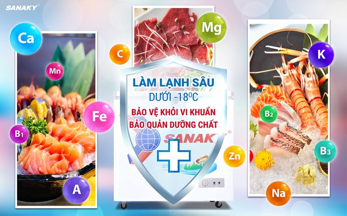 Tủ Đông Sanaky 175lít VH-2299A1