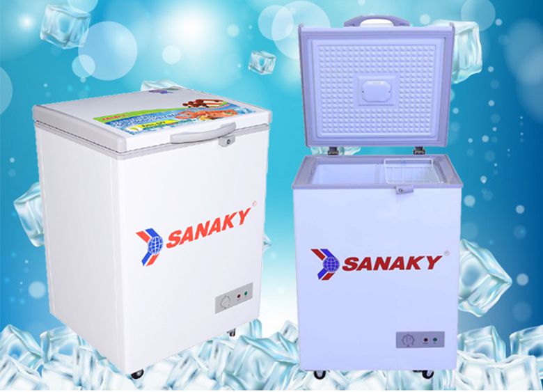 Tủ Đông Sanaky VH-150HY2