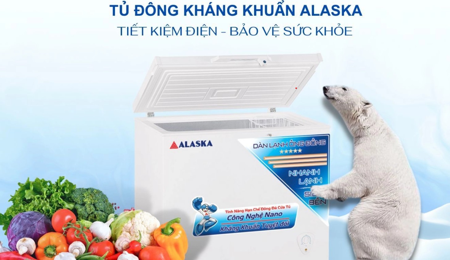 Tủ đông Alaska 205 lít BD-300
