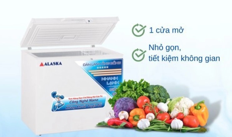 Tủ đông Alaska 205 lít BD-300C