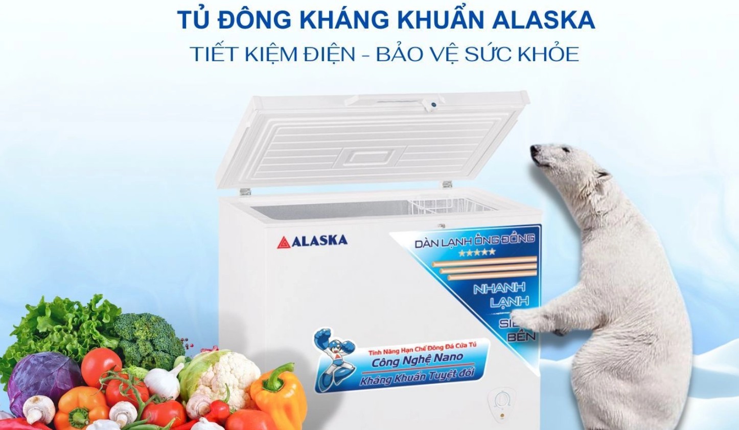 Tủ đông Alaska 205 lít BD-300C