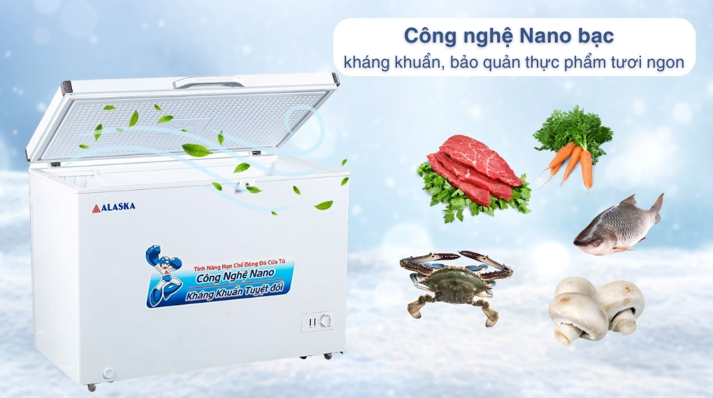 Tủ đông Alaska 295 lít BD-400