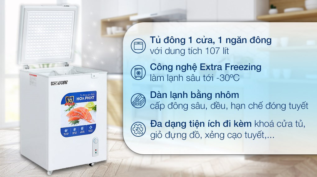 Tủ đông Hòa Phát 107 lít HPF AN6107