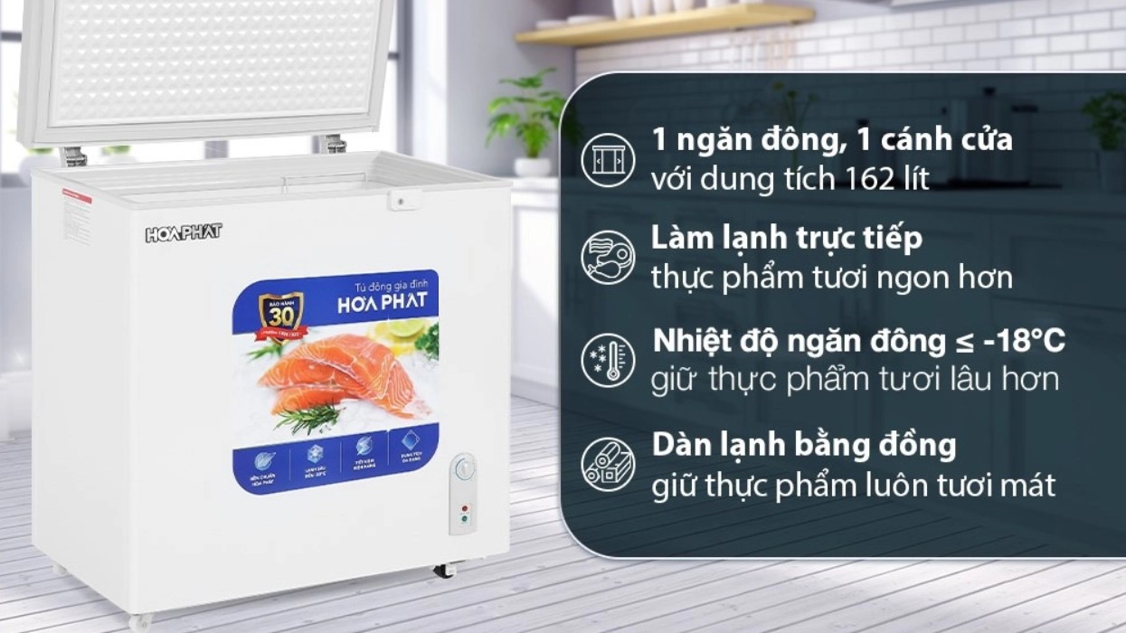 Tủ đông Hòa Phát 162 lít HPF AN6162