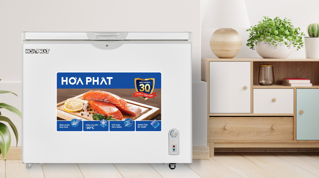 Tủ đông Hòa Phát 252 lít HPF AN6252
