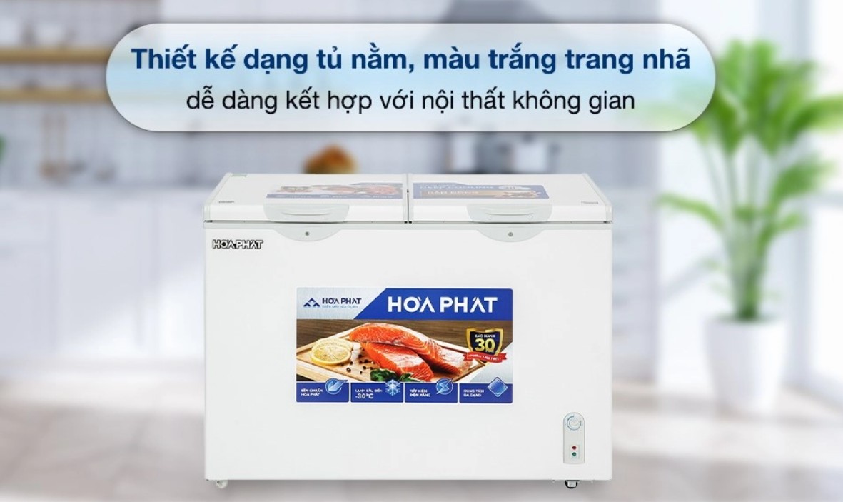 Tủ đông Hòa Phát Inverter 245 lít HPF AD8245